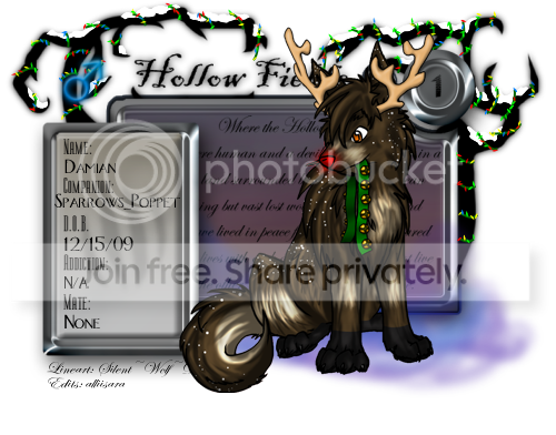 User Image